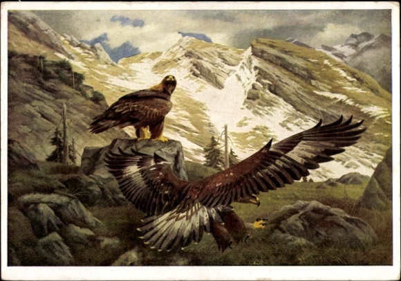Artist Postcard Kiefer, MM, Golden Eagle