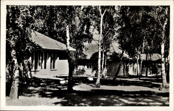 Postcard Wustermark in Brandenburg, Olympic village, residential buildings in the birch forest