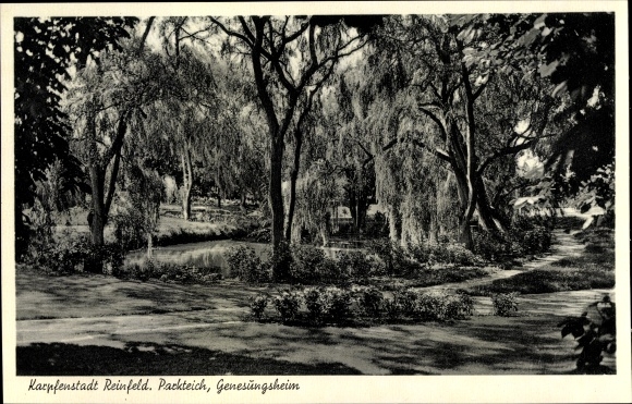 Ansichtkaart Reinfeld in Holstein, herstellingsoord, kavel aan de parkvijver