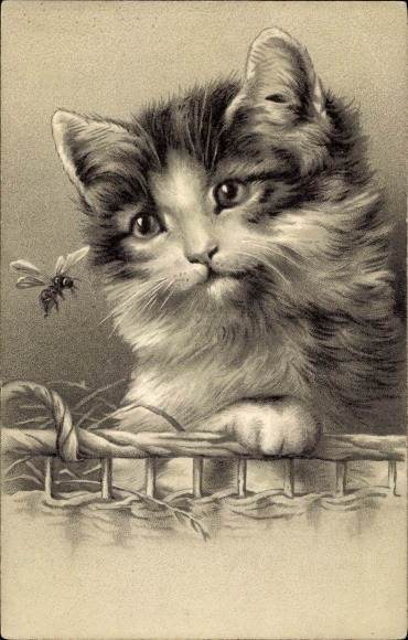 Embossed Chromo-Litho Cat watching a fly
