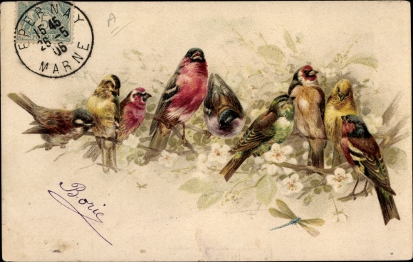 Postcard birds and dragonflies, songbirds, finches