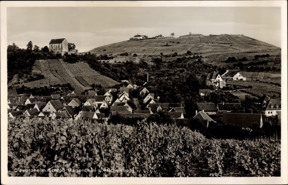 Postcard Cleebronn in Württemberg, Michaelsberg, Magenheim Castle