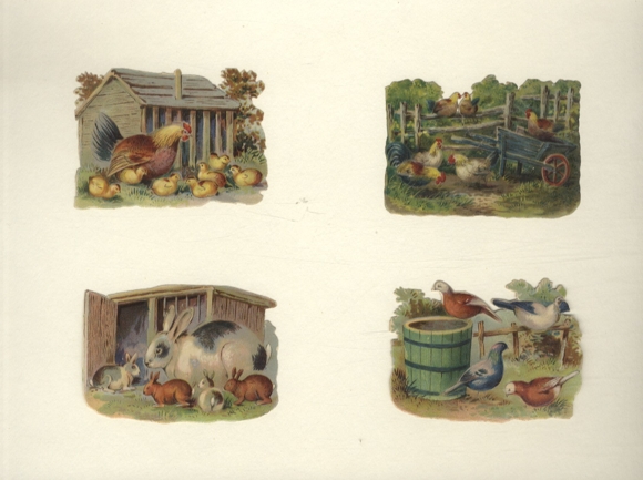4 wafers chickens, pigeons, rabbits on the farm, each approx. 6 x 8.5 cm