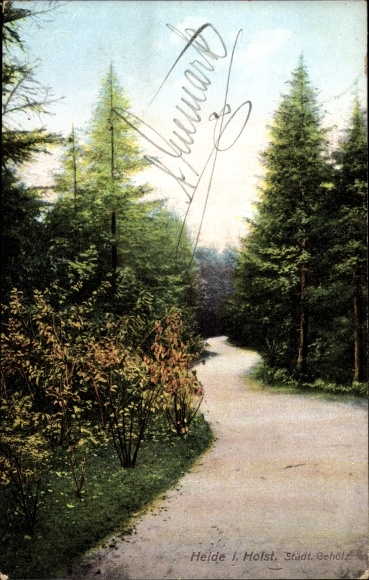 Postcard Heide in Holstein, Städt. woody