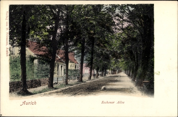Postcard Aurich in Ostfriesland, Eschener Allee