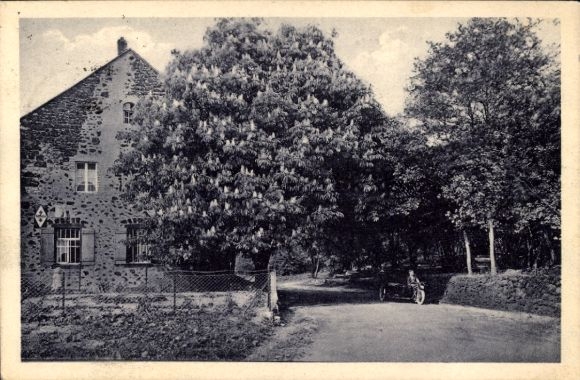 Ak Bassenheim in Rheinland Pfalz, Restaurant zur Waldmühle,  Baum, Mensch auf Motorrad