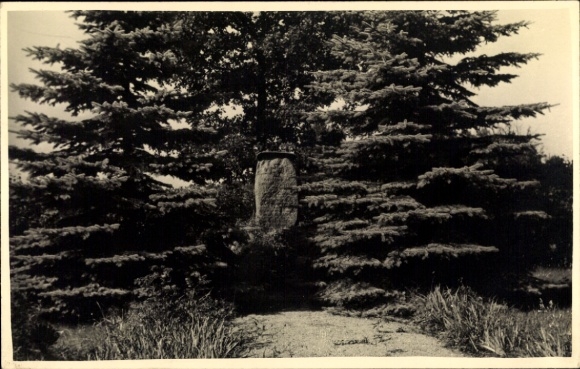 Photo Postcard Krieschow Kolkwitz in the Spreewald Niederlausitz, memorial stone