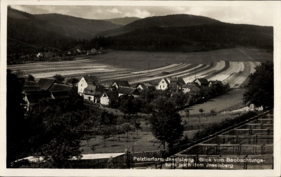Ak Cabarz Tabarz im Thüringer Wald, Pelztierfarm, Blick vom Aussichtsturm, Jnselsberg, ländliche 