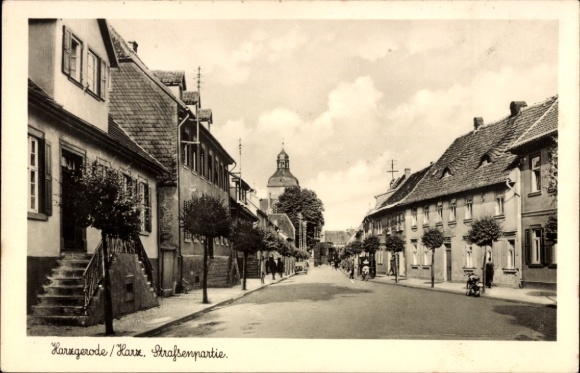 Ak Harzgerode am Harz, Straßenansicht, Historische Architektur, Bäume, 