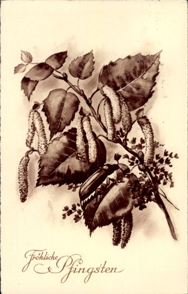 PC Congratulations Pentecost, May beetle, birch branch