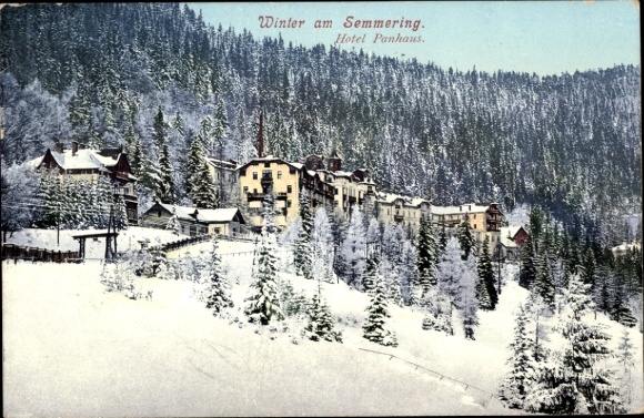 Ak Semmering in Niederösterreich, Winterlandschaft, Hotel Panhaus, verschneite Bäume, Berge