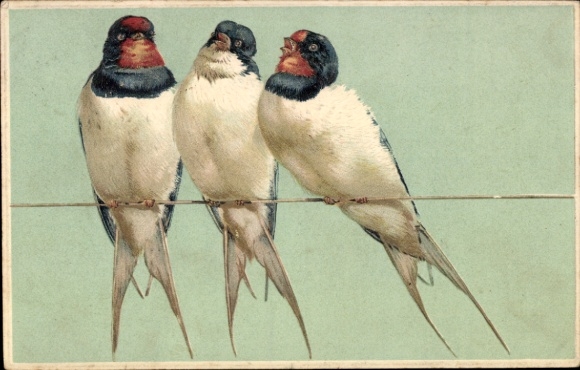 Embossed PC Three Swallows, Birds