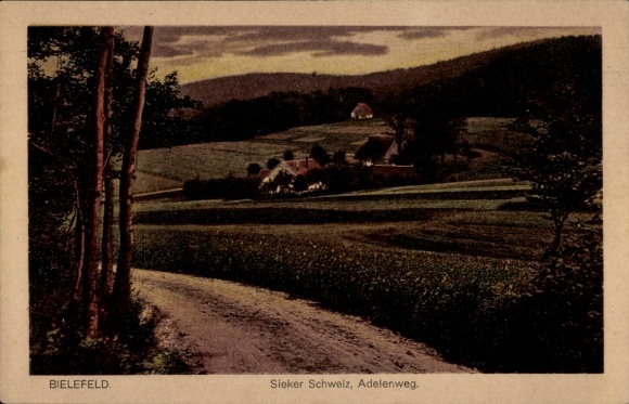 Ak Bielefeld in Nordrhein Westfalen, Landschaftsblick, Weg, Bäume, Gebäude im Hintergrund