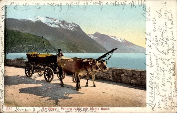 KP Lago di Garda Lombardia, jezioro Garda, Ponalestraße z Monte Baldo, zaprzęg bydła z wozem na siano