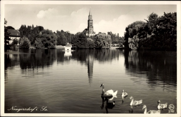Ak Neugersdorf in der Lausitz,  See, Kirche, Schwäne, 