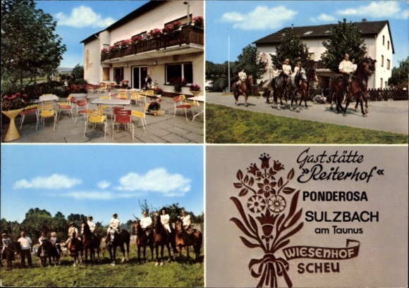 Postcard Sulzbach im Taunus, restaurant Reiterhof Wiesenhof Scheu Ponderosa, horses, terrace