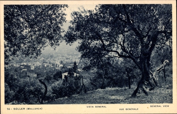 KP Soller Mallorca Baleary, widok na Majorkę, drzewo oliwne, krajobraz, widok na miasto