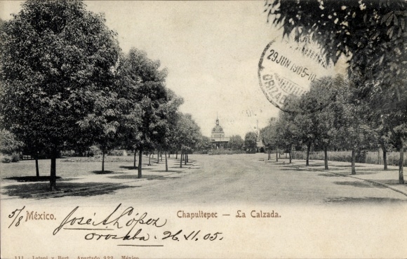 Ak Ciudad de Mexico Mexiko Stadt, Chapultepec,  La Calzada, Bäume, Poststempel, 29 JUN 1905