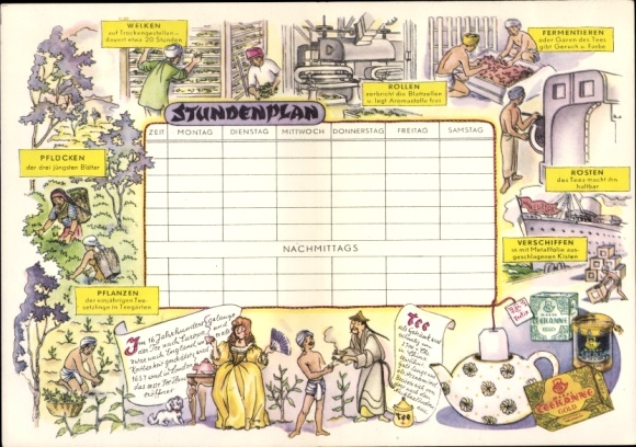 Timetable advertising brand teapot, tea cultivation preparation around 1950