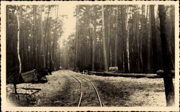 Foto Ak Kemberg in der Dübener Heide, Waldpartie, Eisenbahnbau