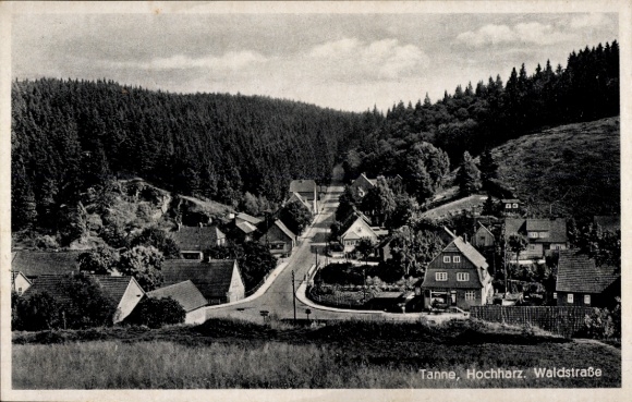 Postcard Tanne Oberharz am Brocken, Waldstraße