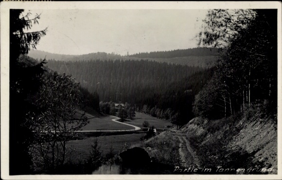 Postcard Neustadt am Rennsteig Großbreitenbach in Thuringia, Tannengrund