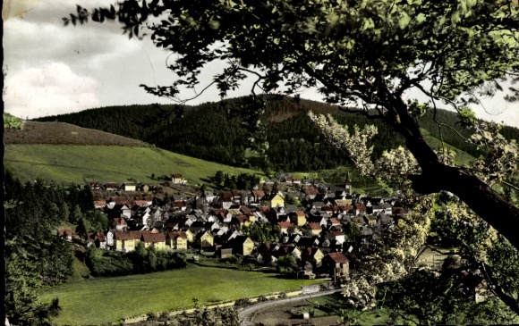 Ak Lautenthal Langelsheim im Oberharz, Blick vom Bielstein auf den Ort