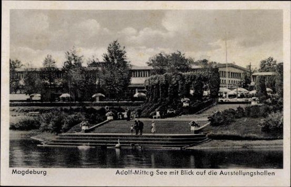 49 Ak Magdeburg Elbe, diverse Ansichten, kleinformatig