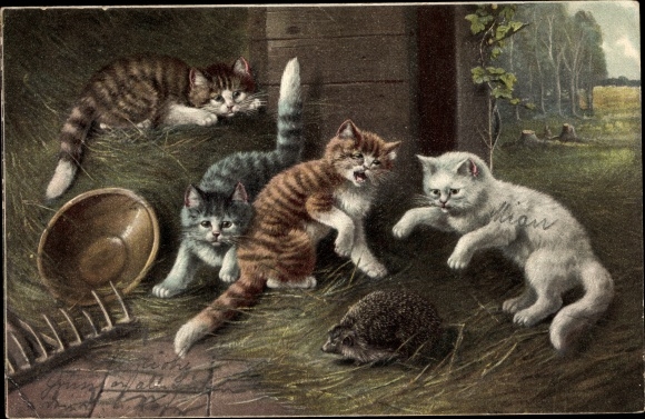 Postcard cats found a hedgehog, straw, rake, farm