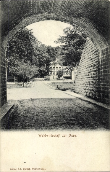 Ansichtkaart Wittmar in Nedersaksen, bosbouw naar Asse, uitzicht vanuit de tunnel