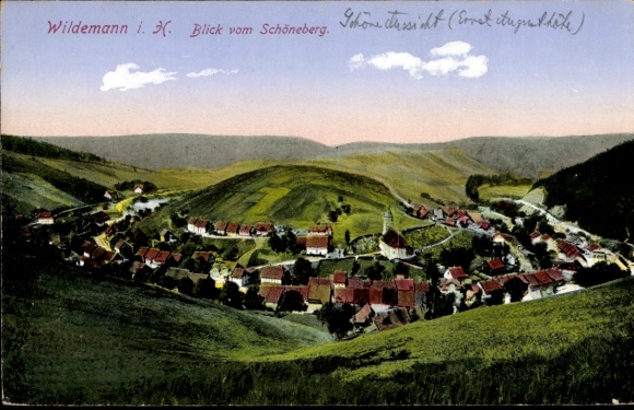 Ansichtkaart Wildemann Clausthal Zellerfeld in de Oberharz, uitzicht vanaf Schöneberg