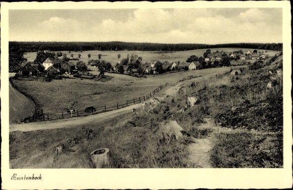 Postcard Buntenbock Clausthal Zellerfeld Oberharz, landscape view, village view, rolling hills, trees