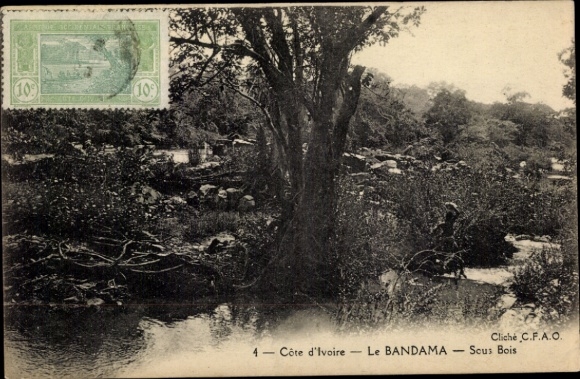 Ak Bandama Elfenbeinküste, Baum in der Landschaft