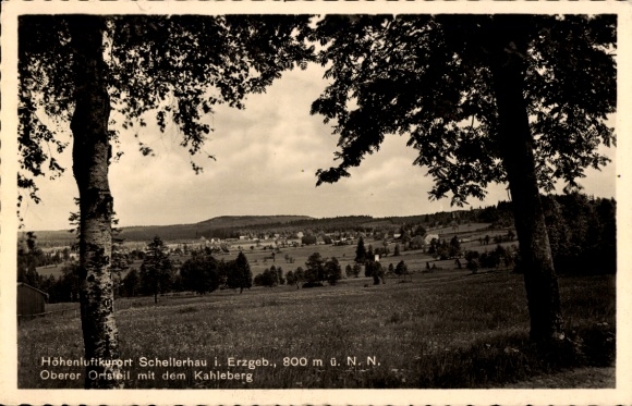 Ak Schellerhau Altenberg im Erzgebirge, Landschaft mit Bäumen, Dorfansicht, Kahleberg in der F...