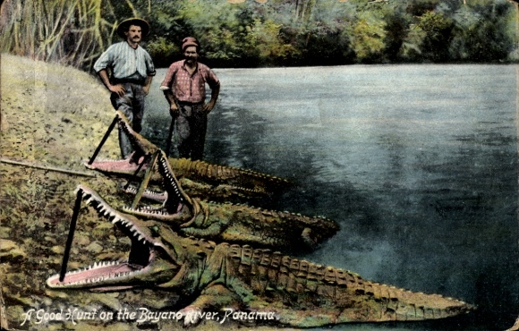Ak Panama, A good Hunt on the Bayano River, Krokodile, gefangene Krokodile