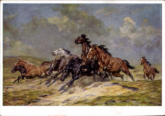 Künstler Ak Roloff, Alfred, HDK 153, Flüchtende Pferde