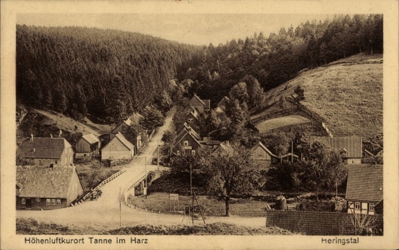 Postcard Tanne Oberharz am Brocken, view of the town of Tanne in the Harz with half-timbered houses, surrounded by...