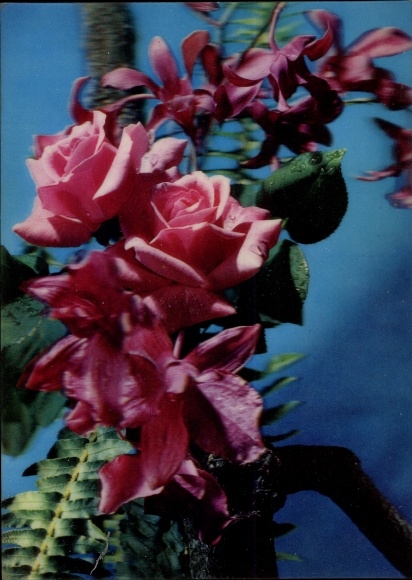 3 D Postcard Roses and Orchids, roses, orchids, ferns, flower arrangements