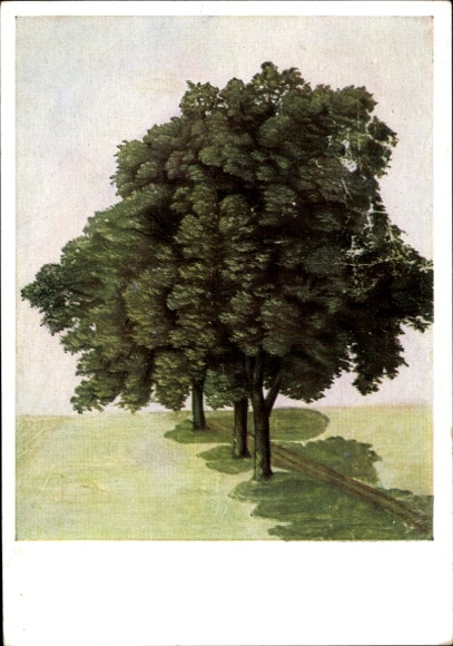 Artist Postcard Dürer, Albrecht, Three Linden Trees