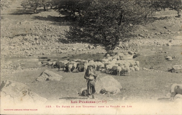 CPA Les Pyrénées, Patre et son troupeau dans la vallee du Lys