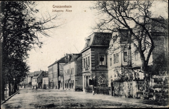 Ak Grossenhain Sachsen, Johannes-Allee