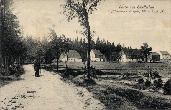 Ak Altenberg im Erzgebirge, Landschaftsaufnahme, Straße, Häuser, Wald