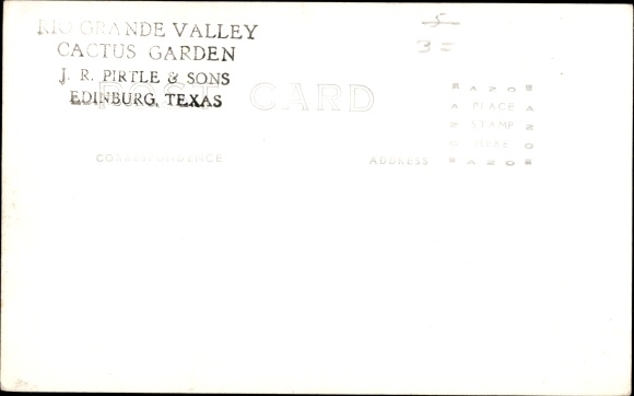 Photo Postcard Edinburg Texas, Rio Grande Valley, cactus garden