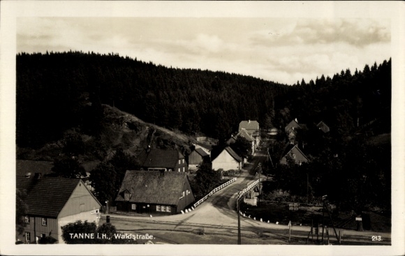 Postcard Tanne Oberharz am Brocken, Waldstraße