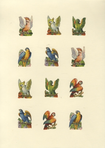 12 wafer parrots, each approx. 4 x 3 cm