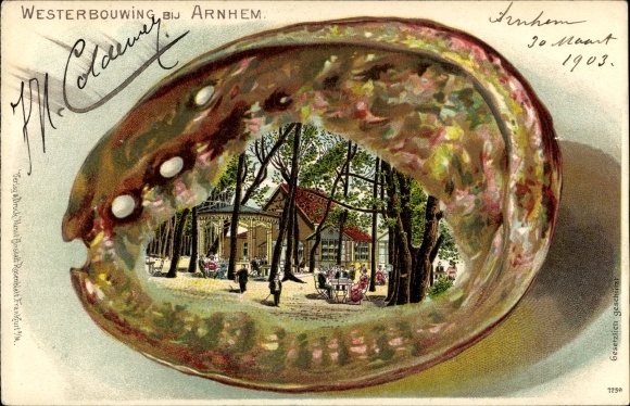 Muschel Litho Arnhem Gelderland Niederlande, Westerbouwing