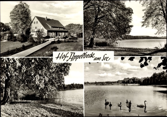 Ansichtkaart Moisburg district Harburg, Hof Appelbeck am See, meerfeest