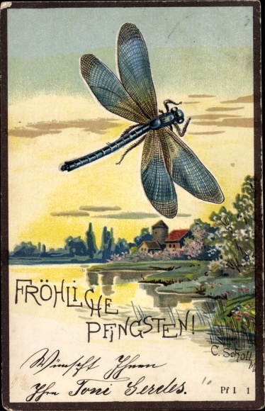 Embossed litho congratulations Pentecost, dragonfly, pond