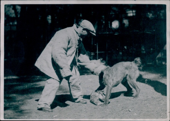 Foto Kolonialausstellung, Stadt der Hunde, Hundedressur, Seance