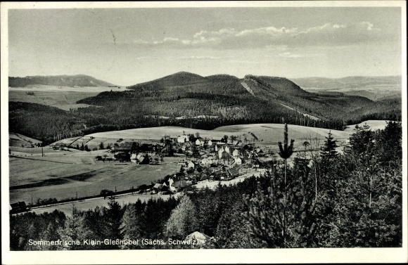 Ansichtkaart Kleingiesshübel Reinhardtsdorf Schöna in Saksen, Panorama